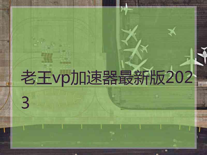 老王vp加速器最新版2023