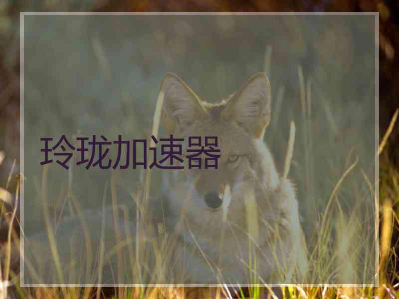 玲珑加速器