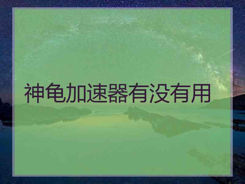 神龟加速器有没有用