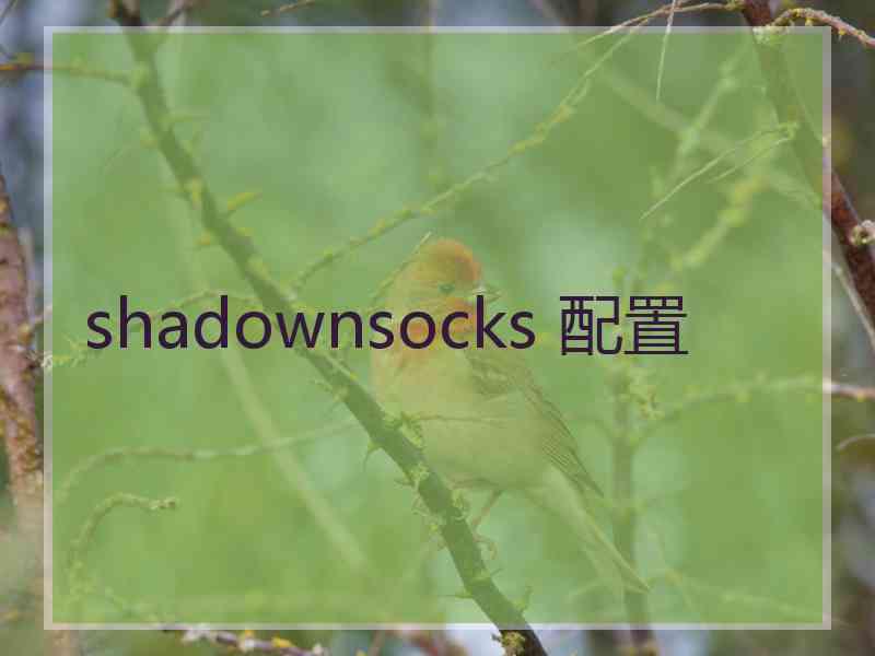 shadownsocks 配置