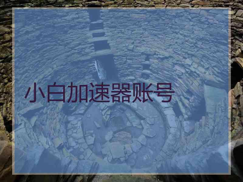 小白加速器账号