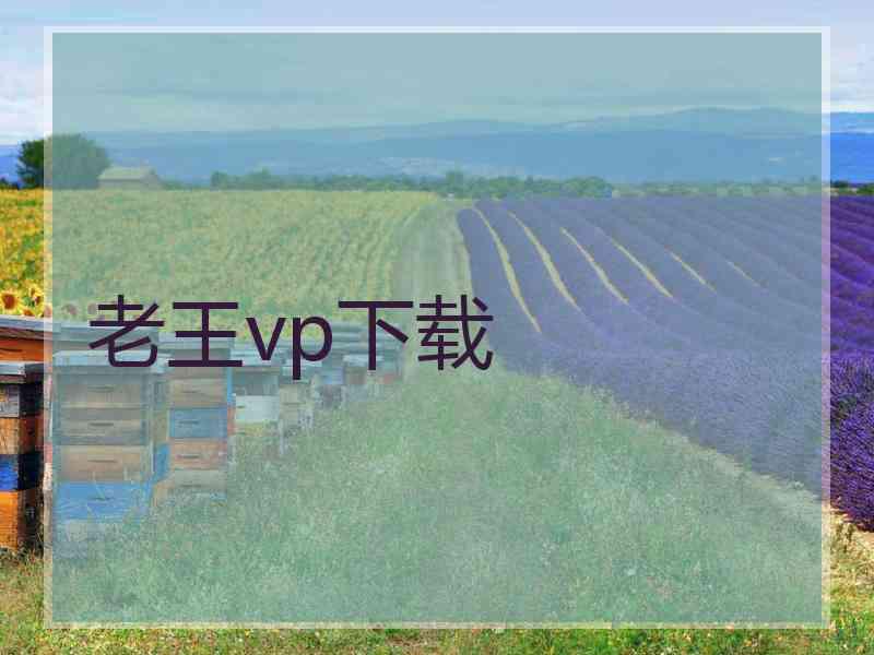 老王vp下载