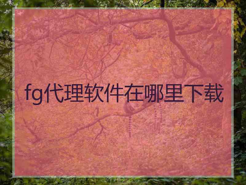 fg代理软件在哪里下载
