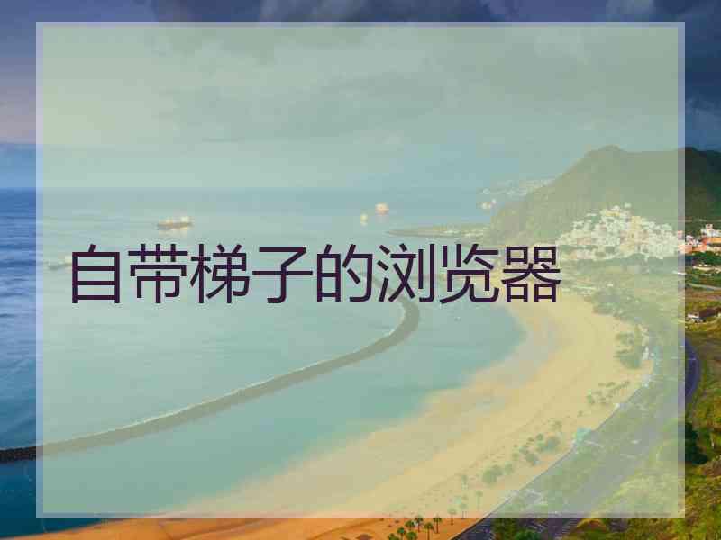 自带梯子的浏览器