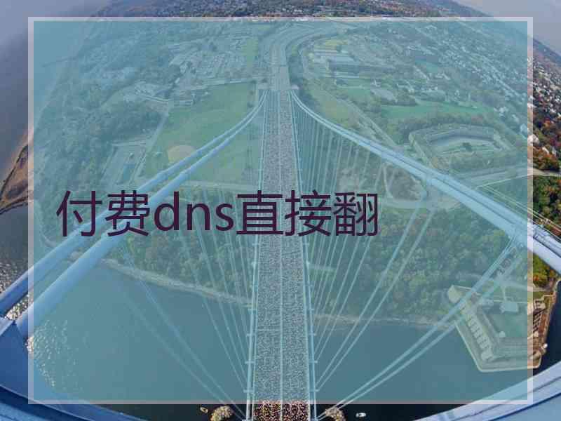 付费dns直接翻