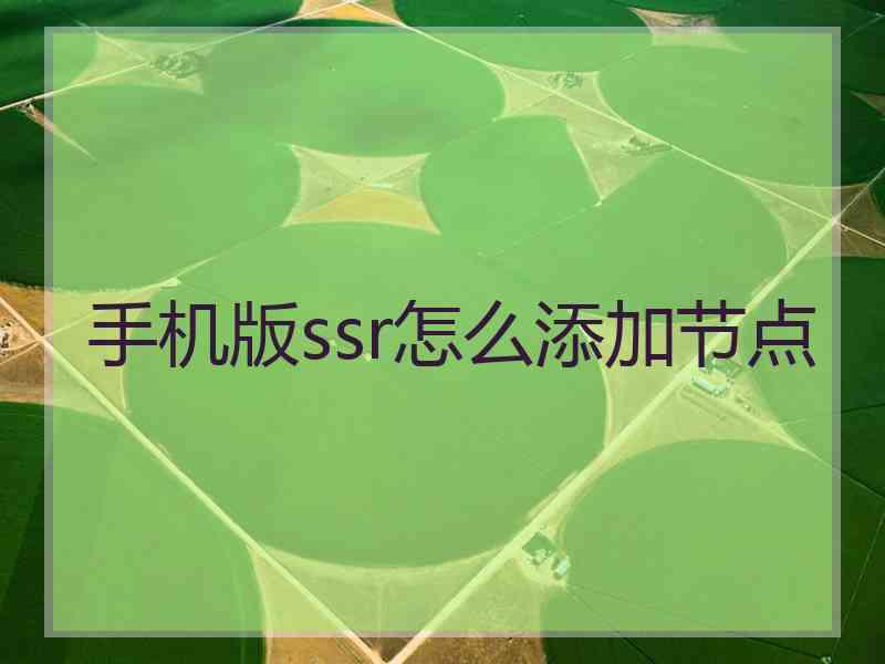 手机版ssr怎么添加节点