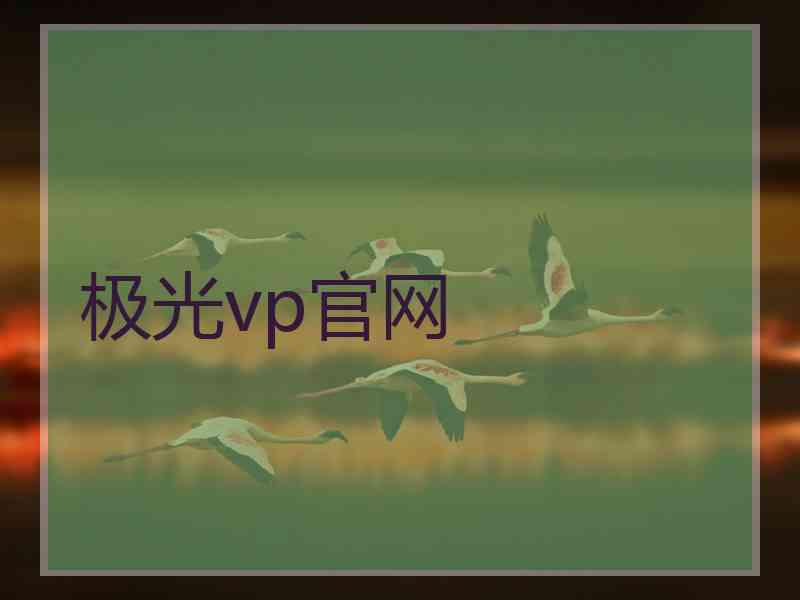极光vp官网