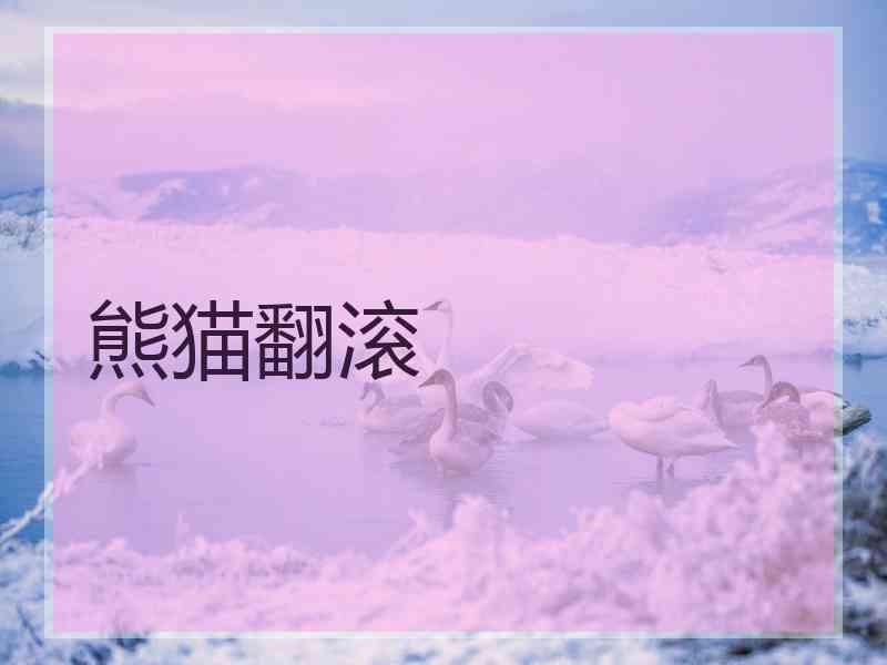熊猫翻滚