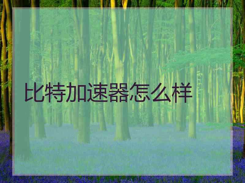 比特加速器怎么样