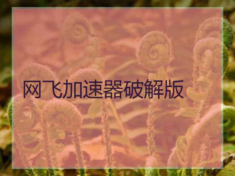 网飞加速器破解版