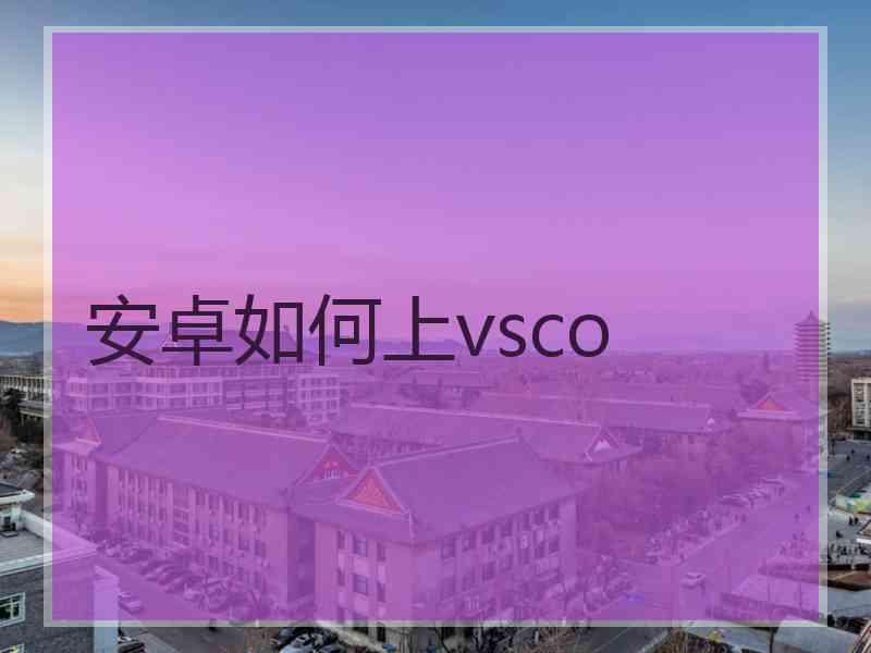安卓如何上vsco