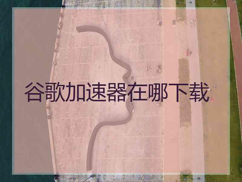 谷歌加速器在哪下载