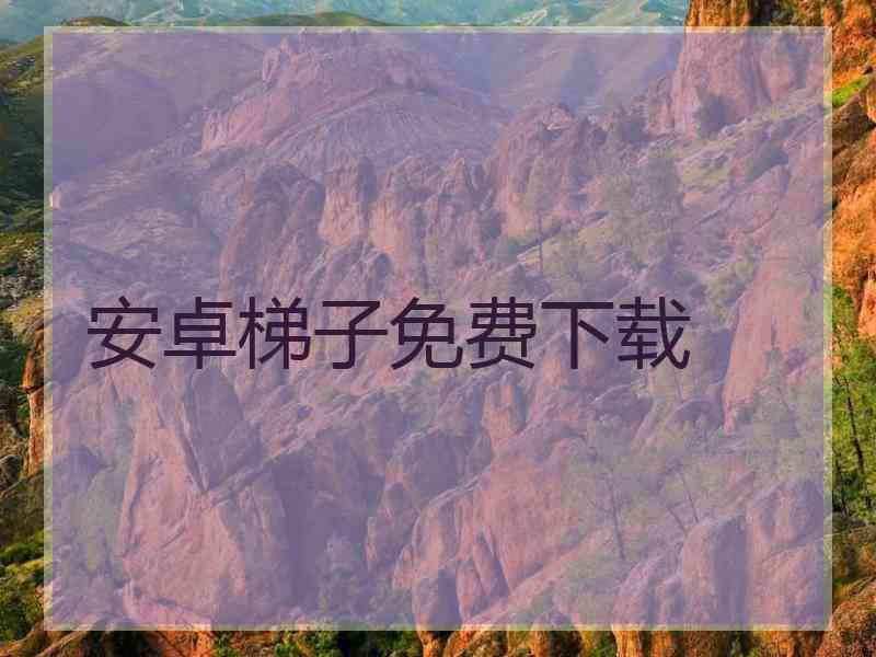 安卓梯子免费下载