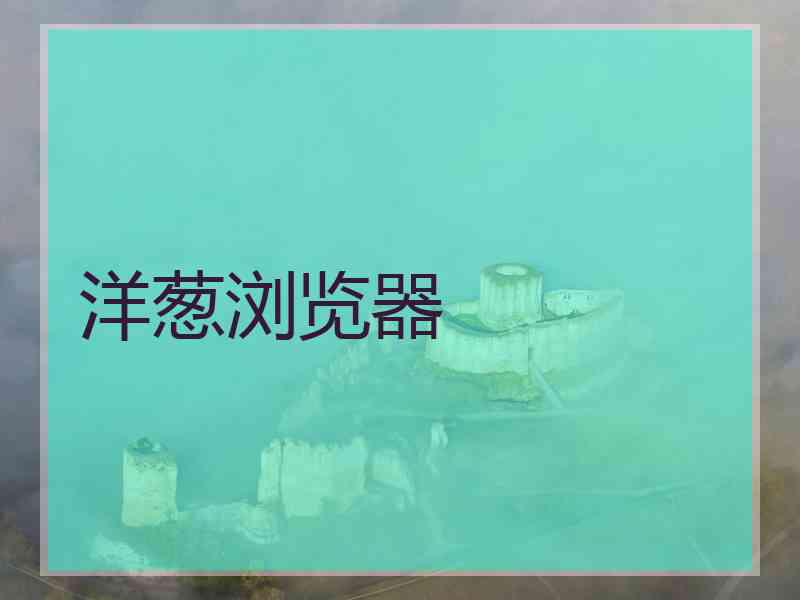 洋葱浏览器