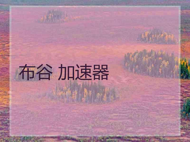 布谷 加速器