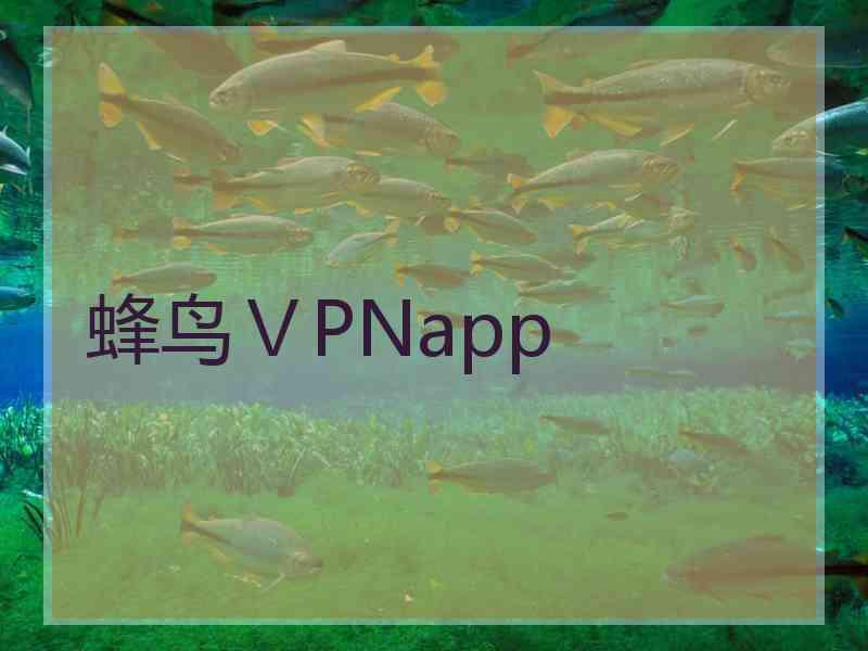 蜂鸟ⅤPNapp