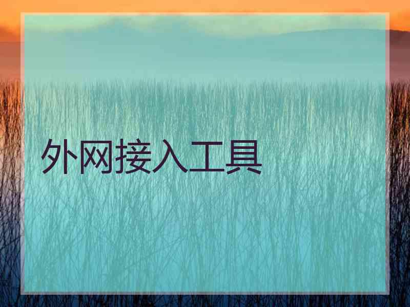 外网接入工具