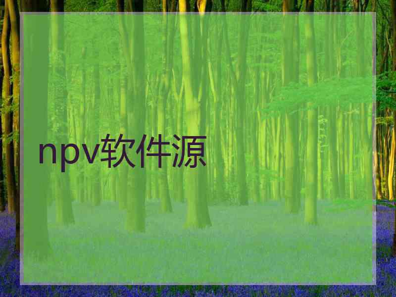 npv软件源