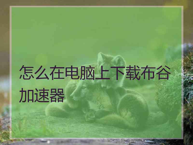 怎么在电脑上下载布谷加速器