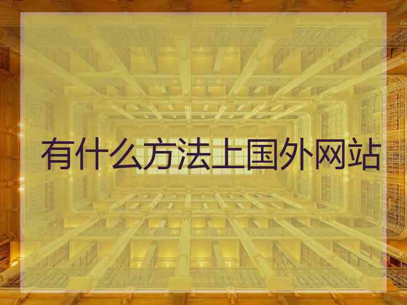 有什么方法上国外网站