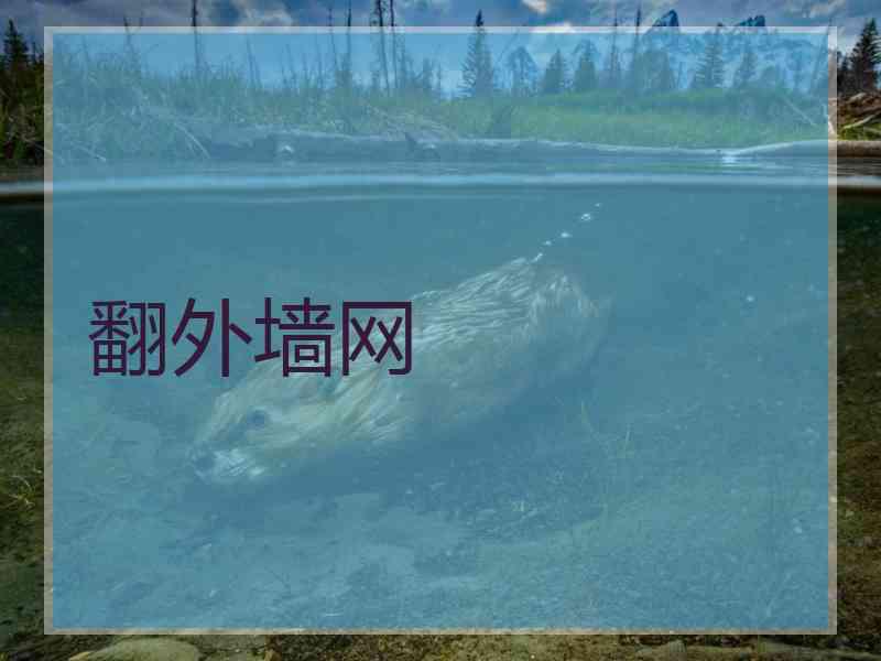 翻外墙网