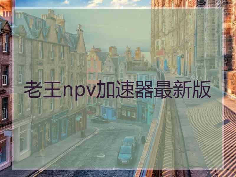 老王npv加速器最新版