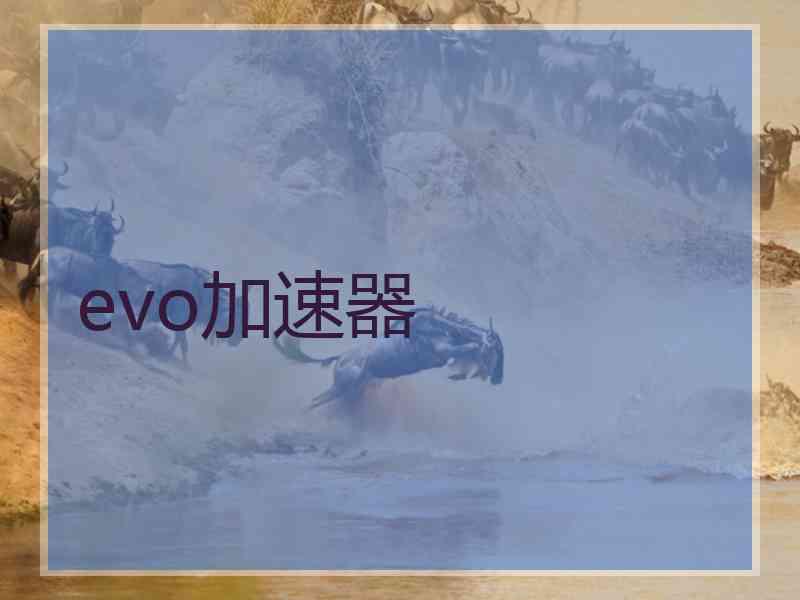 evo加速器