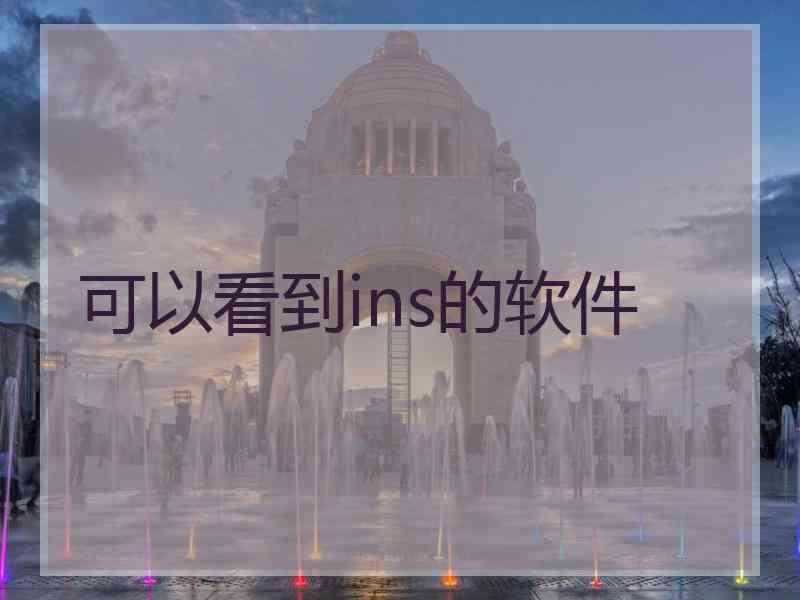 可以看到ins的软件