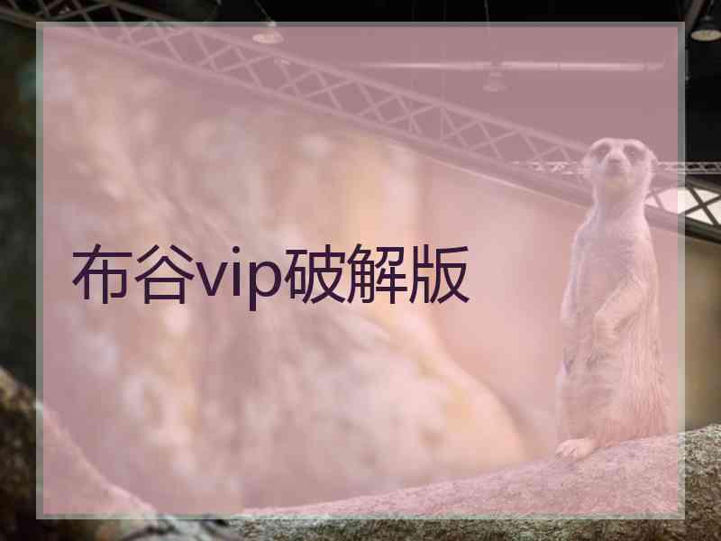 布谷vip破解版