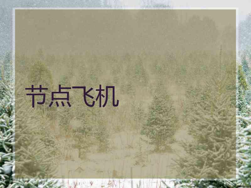 节点飞机