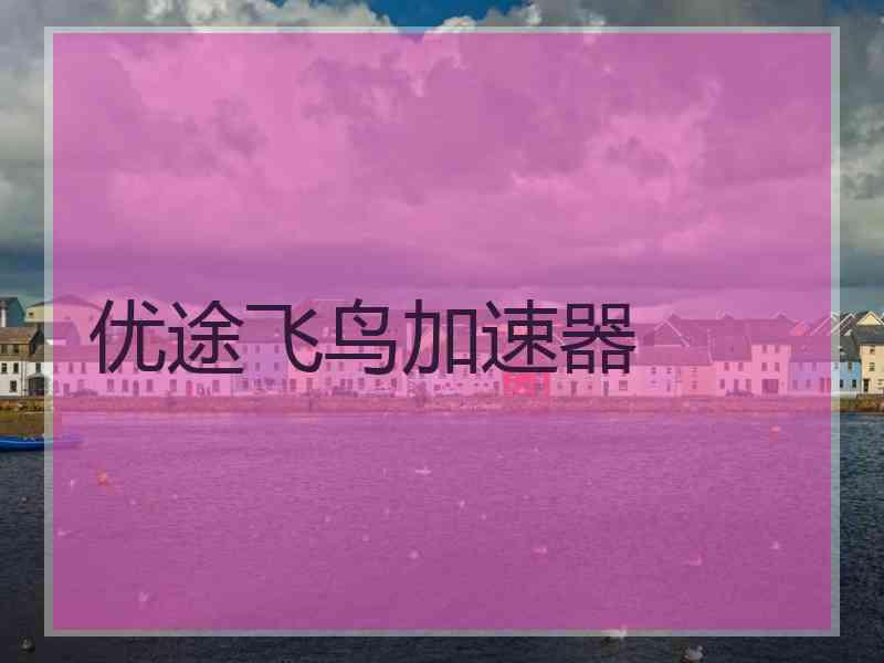 优途飞鸟加速器