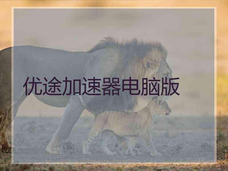 优途加速器电脑版
