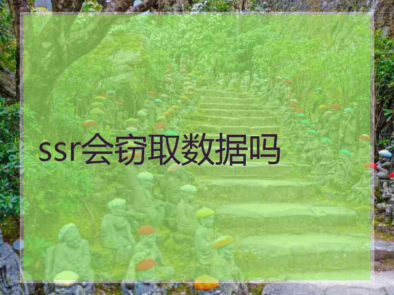 ssr会窃取数据吗
