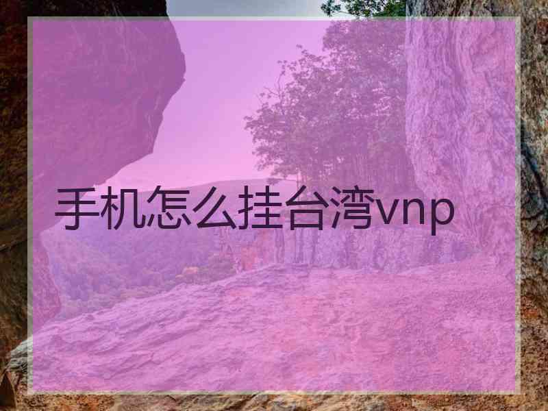 手机怎么挂台湾vnp