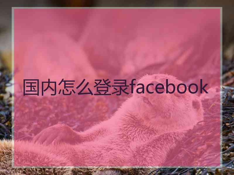 国内怎么登录facebook