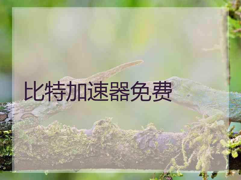 比特加速器免费