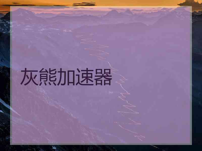 灰熊加速器