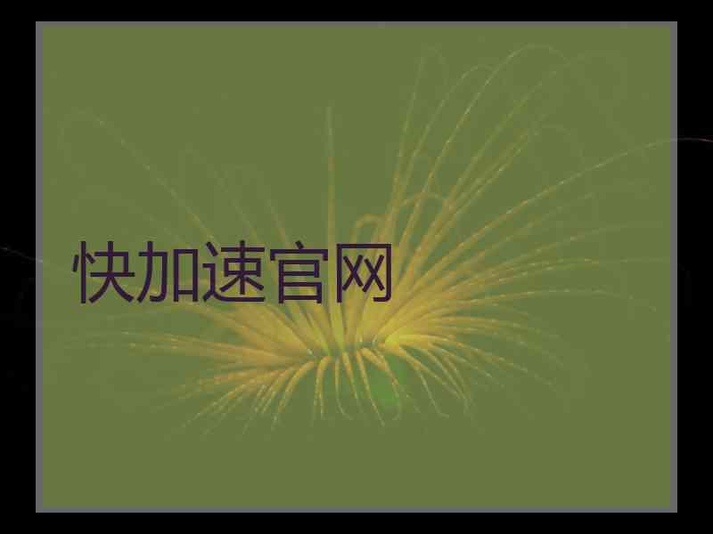 快加速官网