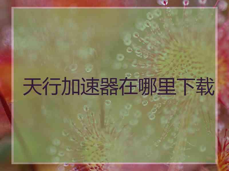 天行加速器在哪里下载