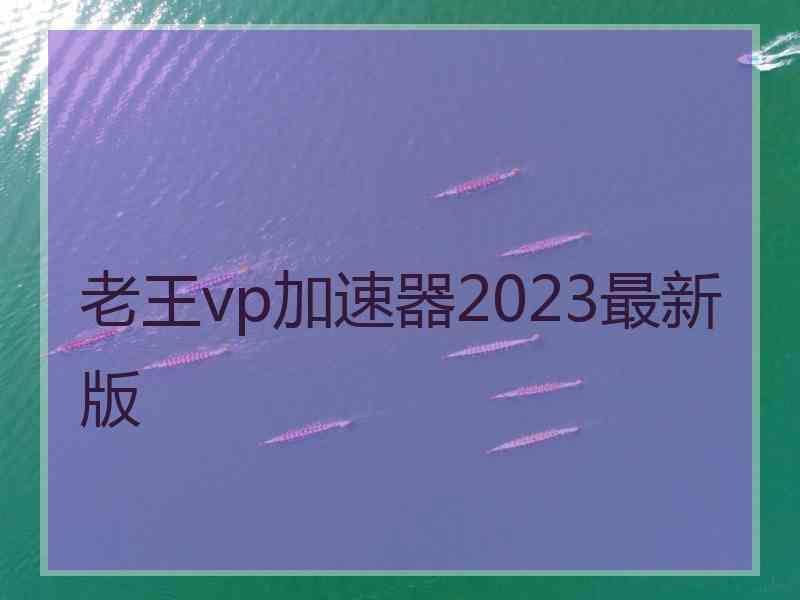 老王vp加速器2023最新版