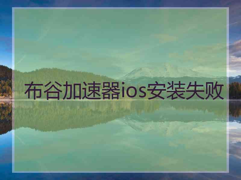 布谷加速器ios安装失败