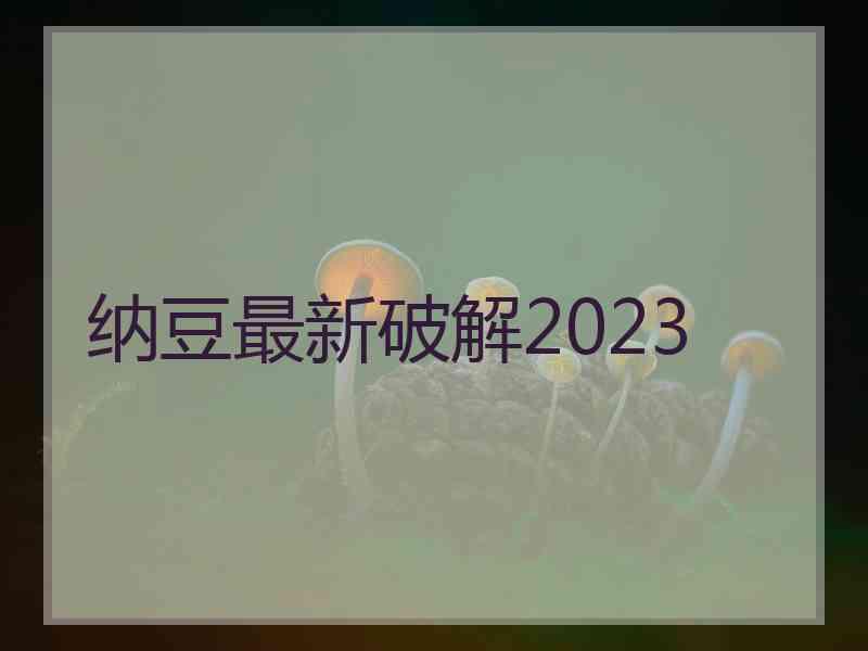 纳豆最新破解2023