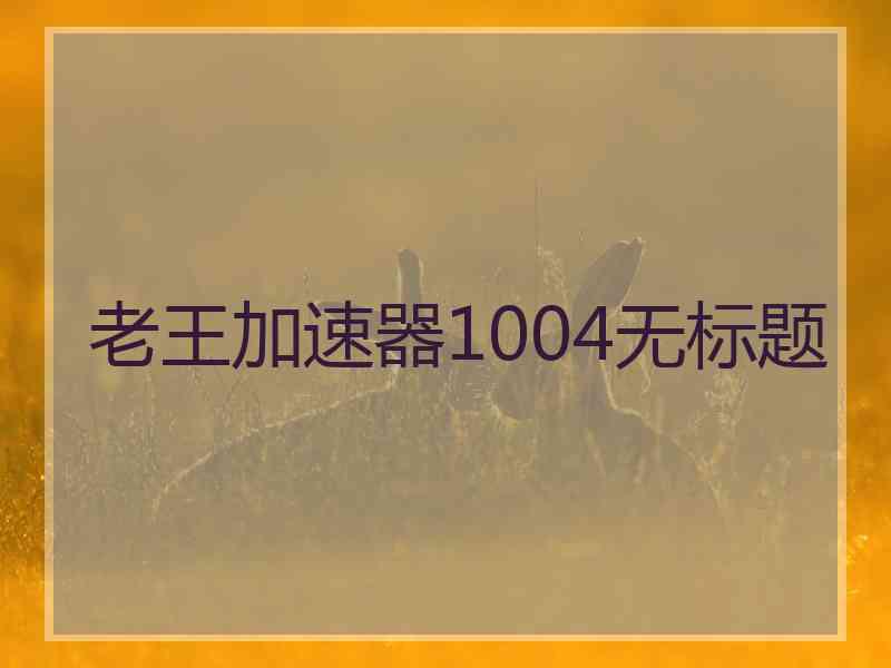 老王加速器1004无标题