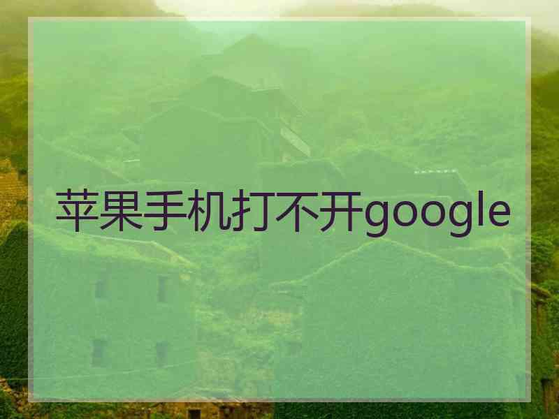 苹果手机打不开google