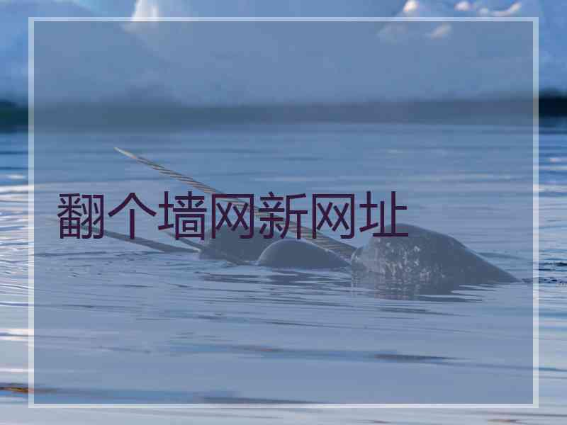 翻个墙网新网址