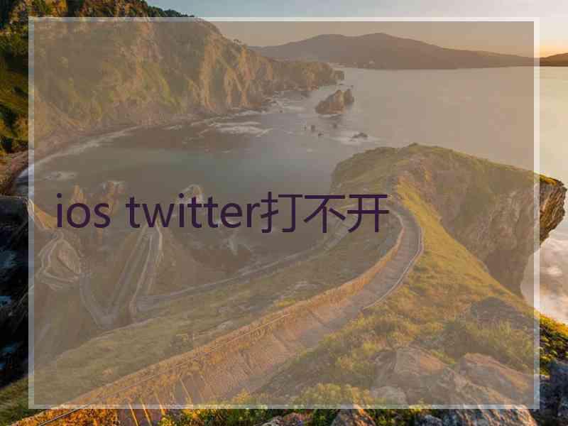 ios twitter打不开
