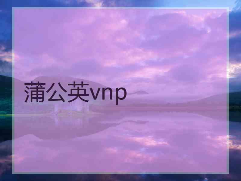 蒲公英vnp