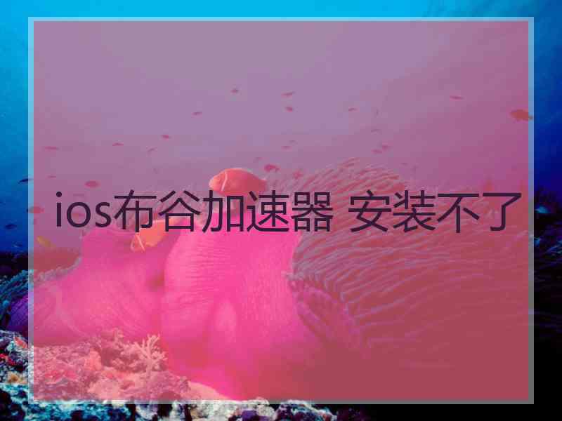 ios布谷加速器 安装不了