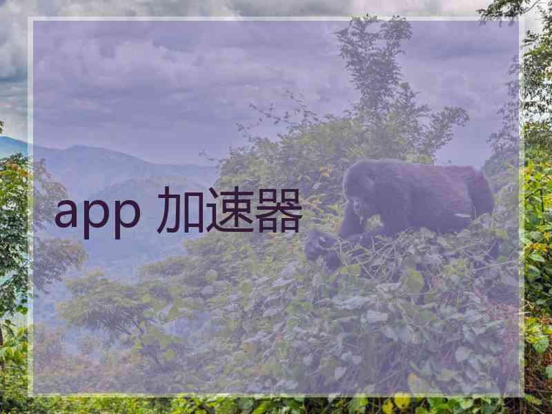 app 加速器
