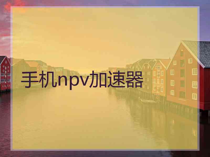手机npv加速器